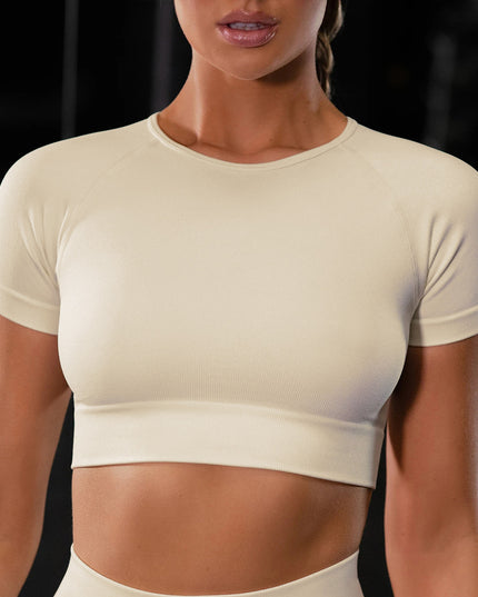 Seamless Yoga Sport Set Fitness Women Running Leggings Short Sleeve Tops