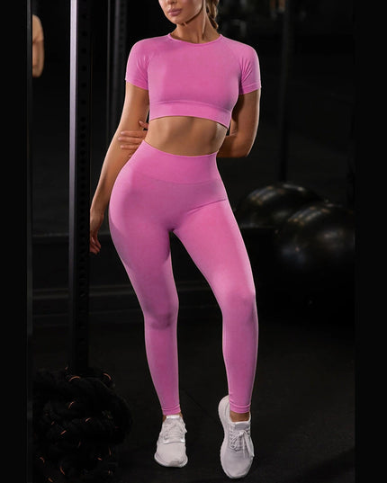Seamless Yoga Sport Set Fitness Women Running Leggings Short Sleeve Tops