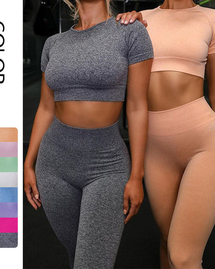 Seamless Yoga Sport Set Fitness Women Running Leggings Short Sleeve Tops