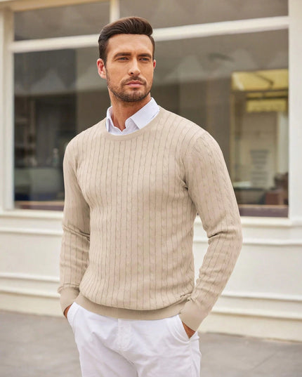 Men Solid Cable Knit Sweater