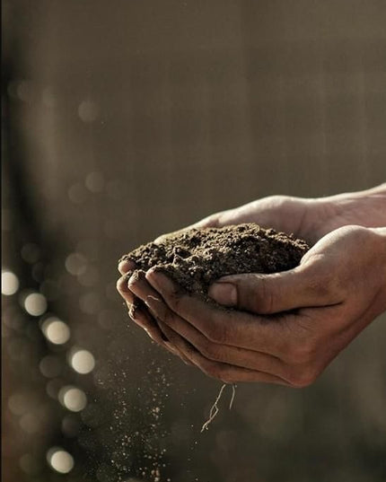 Organic Vermicompost 500gm