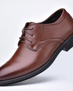 Brown / 39