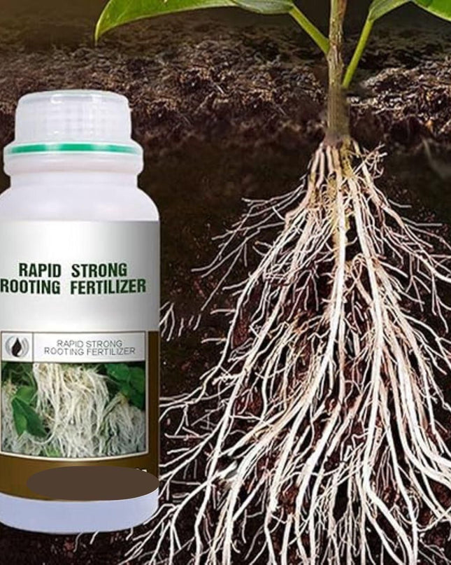 Rapid Strong Rooting Fertilizer 200 gm Pack of 2