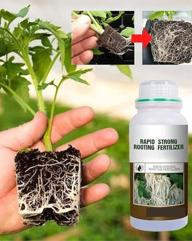 Rapid Strong Rooting Fertilizer 200 gm Pack of 2