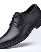 Black / 40