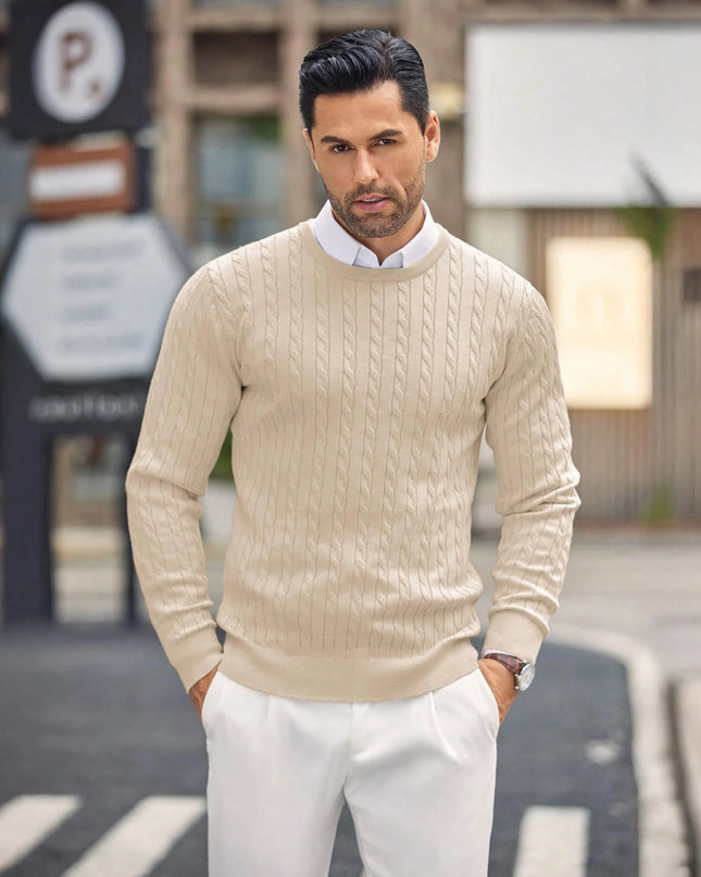 Men Solid Cable Knit Sweater