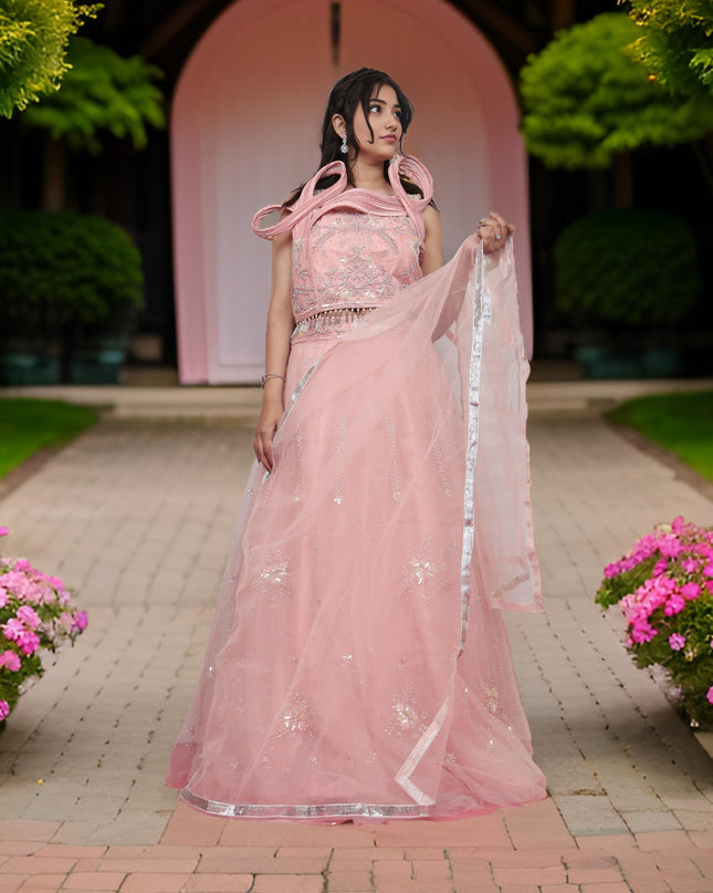 Stone & Sequins Lehenga Choli Set-0